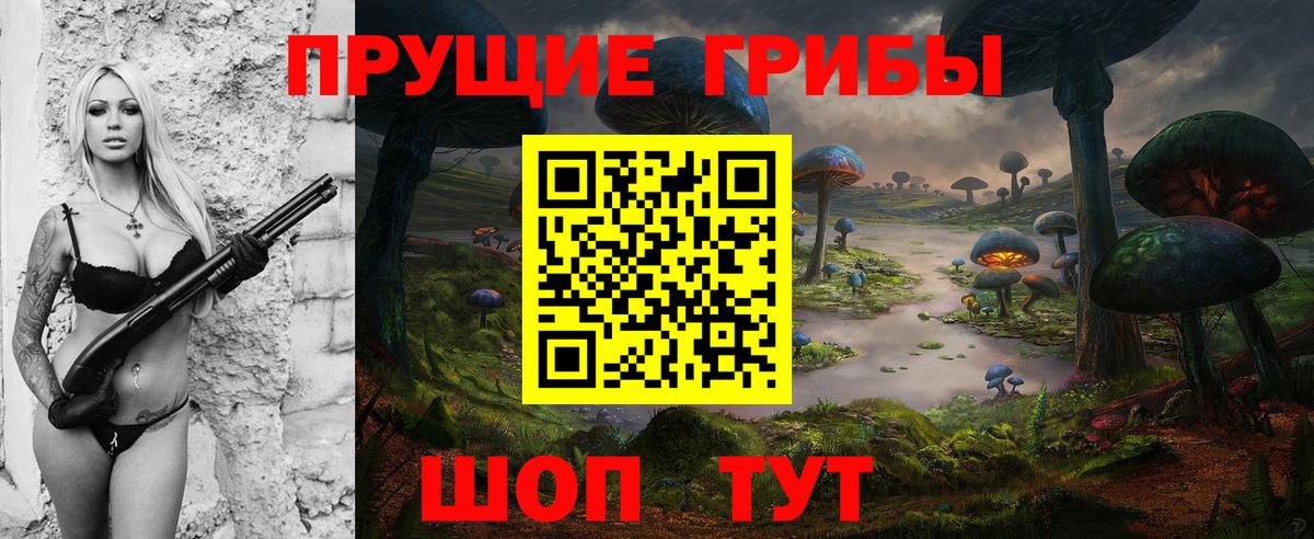 Псилоцибиновые грибы мицелий Конаково